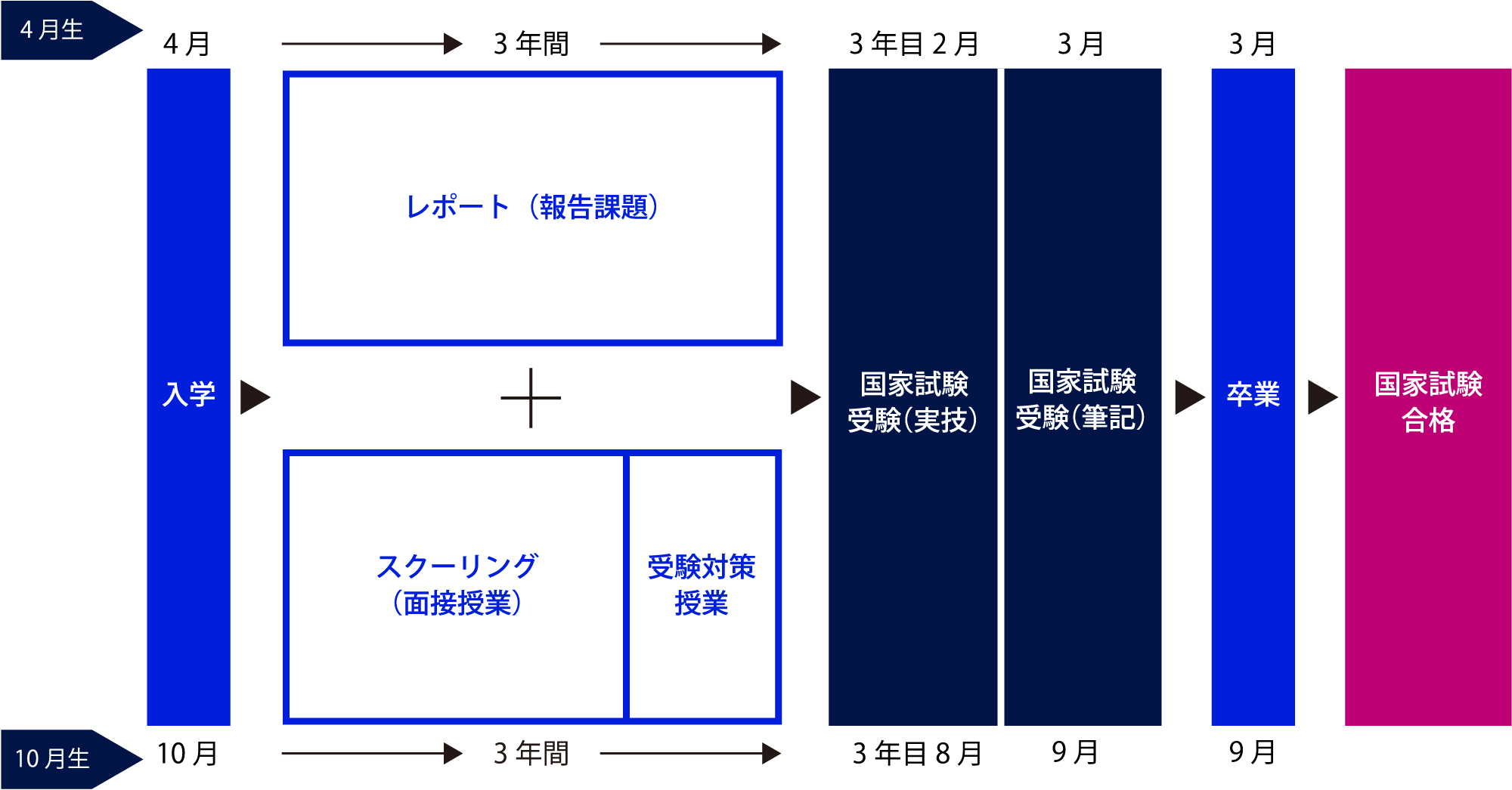 美容師免許取得までの流れ