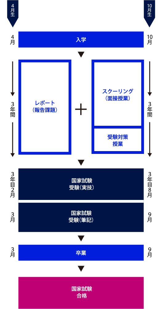 美容師免許取得までの流れ