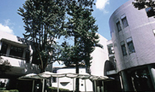 嘉悦大学