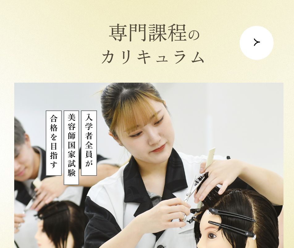 専門課程のカリキュラム